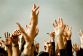 Crowd Raising Their Hands