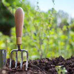 Le mandat créationnel, un premier appel à la mission ?