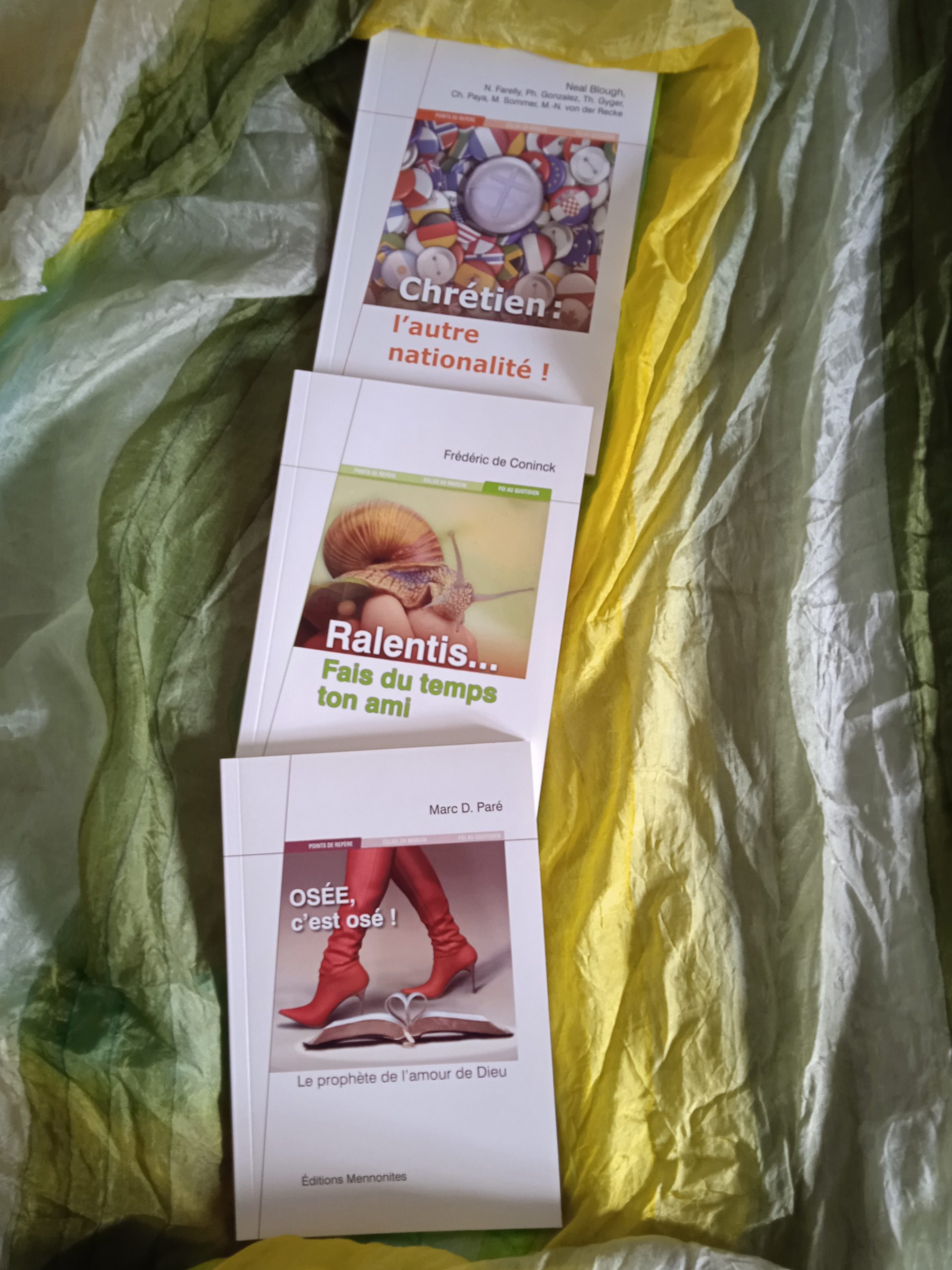 OFFRE SPÉCIALE : Spiritualité personnelle et en société (3 pour 2) – Image 2