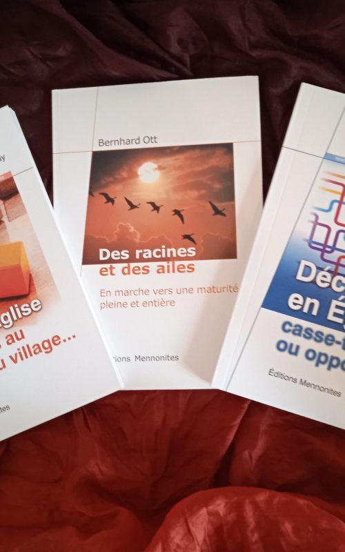 OFFRE SPÉCIALE :     Spiritualité personnelle et en église           (3 pour 2)